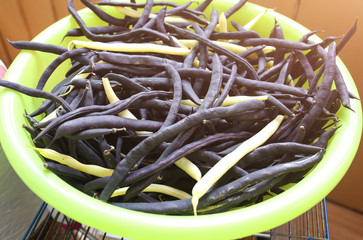 Dark purple and green beans lying on the plate. Healthy fresh vegetarian food. Snaps texture background.