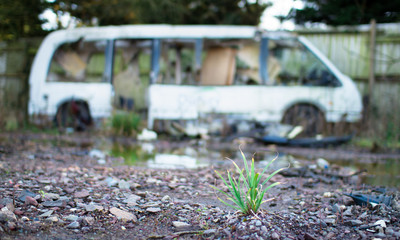 A tiny plant grows out of contaminated soil with a wrecked minibus in the background at the abandoned Furber's Scrapyard in Shropshire, England.