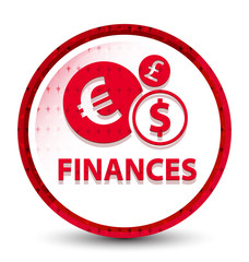 Finances (euro sign) misty frozen red round button