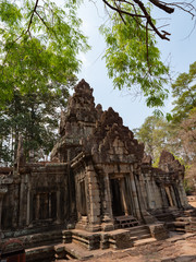 Fototapeta na wymiar Ta Prohm Temple in Angkor, Cambodia