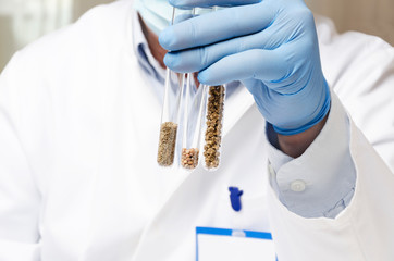 Laboratory assistant holding test tubes with different kinds of seed before experiments at the agro...