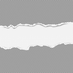 Torn squared dark grey horizontal paper strips are on lined background with space for text. Vector illustration