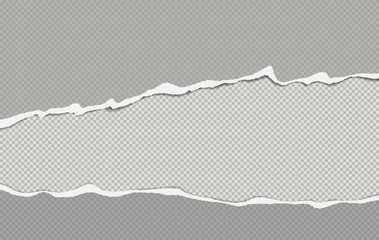 Set of torn squared grey horizontal paper strips with space for text. Vector illustration background