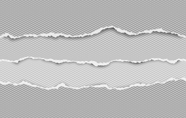 Set of torn squared grey horizontal paper strips with space for text. Vector illustration background
