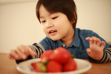 Fototapeta premium イチゴを食べる男の子