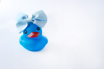 Baby accessories on white background. Space for text. little blue duck