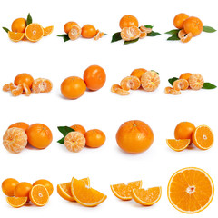 Collage of fresh citrus isolated on white background