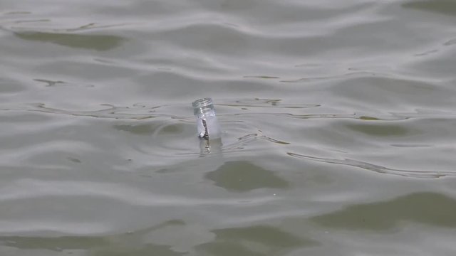 a bottle floating in water waves, one bottle swims between the waves,
