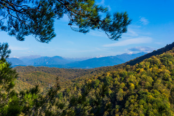 Panorama of the mountain near Sochi, Russia. Mountain with forest trees