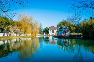 Fototapeta premium beautiful pond with birds in Sochi. Russia