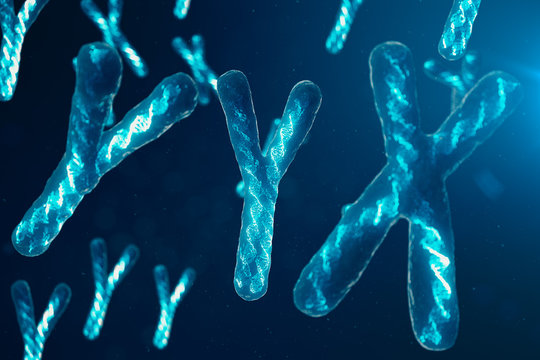 YYX-Chromosomes with DNA carrying the genetic code. Genetics concept, medicine concept. Future, genetic mutations. Changing the genetic code at the biological level. 3D illustration