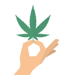 Hand holding marijuana or cannabis leaf