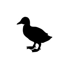 Duckling bird black silhouette animal