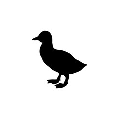 Gosling bird black silhouette animal