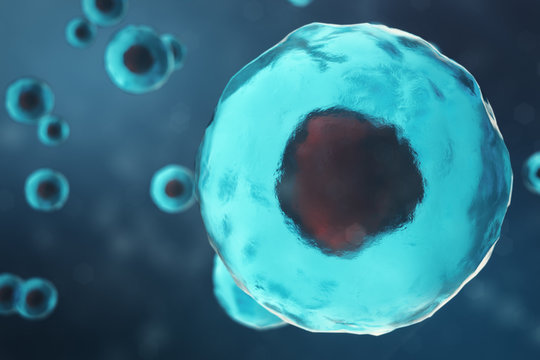 Cell of a living organism, scientific concept. Illustration on a blue background. The structure of the cell at the molecular level, under a microscope. encrypted DNA in the cell, 3D illustration