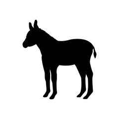 Baby donkey farm mammal black silhouette animal