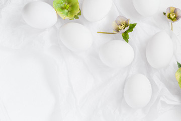 Easter white background eggs flowers