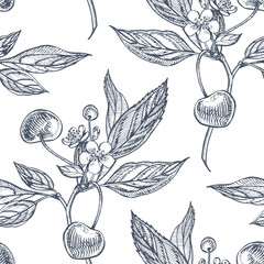Cherry set. Hand drawn berry isolated on white background. Summer fruit engraved style illustration. Great for label, poster, print. Seamless pattern
