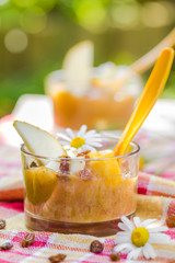Summer drink garden smoothie pears nectarines raisins