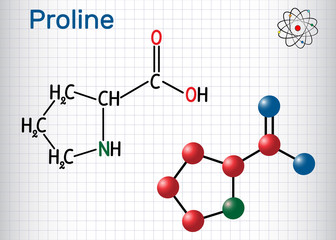 Proline (L- proline, Pro , P) proteinogenic amino acid molecule. Sheet of paper in a cage. Structural chemical formula and molecule model