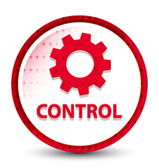 Control (settings icon) misty frozen red round button