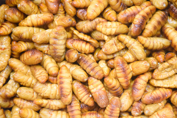 Fried insects, Bugs fried on Street food in Thailand