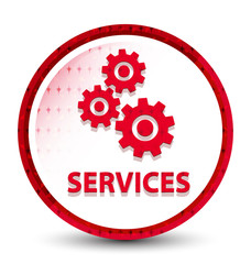 Services (gears icon) misty frozen red round button
