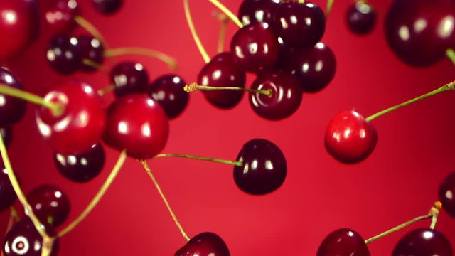 Close-up of cherry rotates in the air on a red background, Slow motion