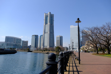 Scene in Yokohama,Japan
