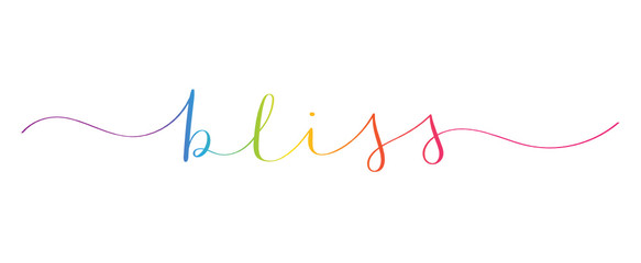 BLISS rainbow brush calligraphy banner
