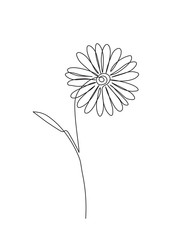 Chamomile continuos line drawing. Black simple hand drawn. Abstract floral linear - 254636240