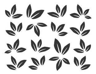 Vector Set of beautiful Leaves