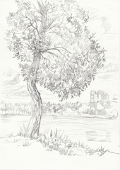 Landscape with a tree and a lake drawn with pencils. Graphic illustration on white background. Design for poster, textile. postcard, social media, web.