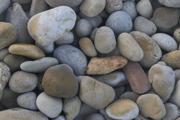 Fototapeta na wymiar Piedras húmedas variadas en la playa