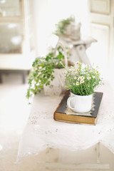 インテリアとインドア植物と緑のある暮らし