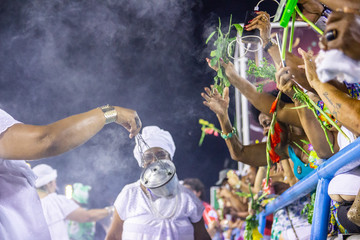 Sapucaí Wash,carnival in Rio de Janeiro.