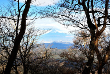Obraz na płótnie Canvas 天城山からの富士山