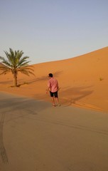 Qasr Al Sarab, Liwa Oasis, United Arab Emirates