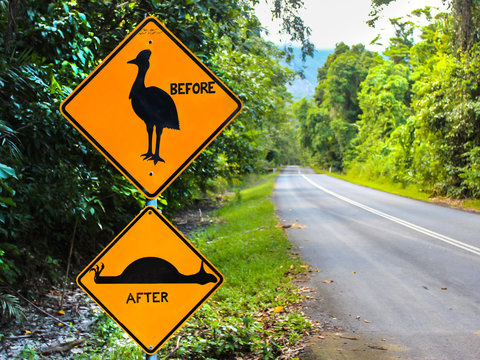 Verkehrsschild Achtung Helmkasuar, Abenteuer Reise Australien Stra&szlig;e Warnung