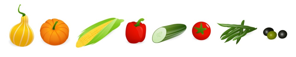 Vector vegetables set isolated on white background. Healthy organic food like corn, pumpkin, red bell pepper, olives, useful at any packaging design template 