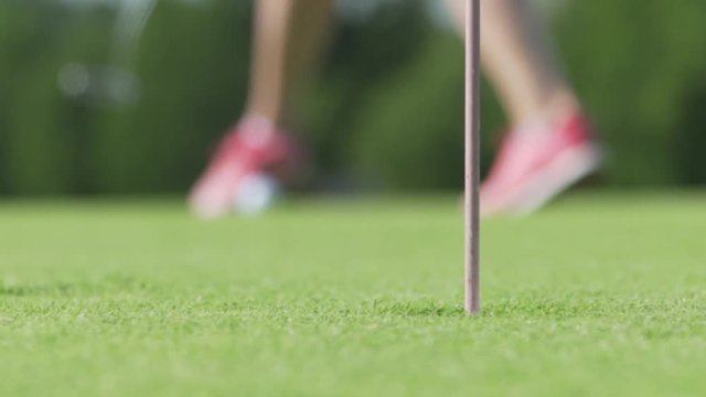 Golfer putting golf ball to hole. Player playing in golf course on sunset is beautiful nature. Putting Green with Pole Flag in Hole is beauty for people play on outdoor to exercise on summer
