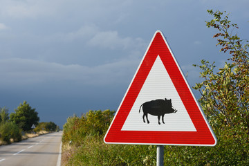 Traffic sign warning about wild boars near the road. Croatia. 