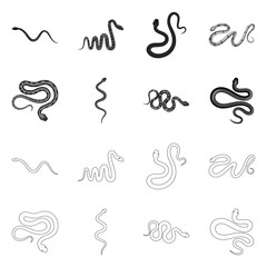 Vector design of mammal and danger icon. Set of mammal and medicine stock symbol for web.