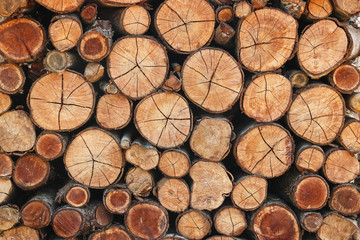 The trees that are cut, stored, made fuel, cutting across the.