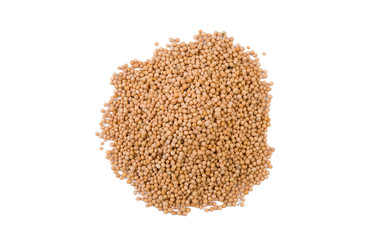 white mustard heap isolated on white background. top view