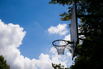 バスケットボール