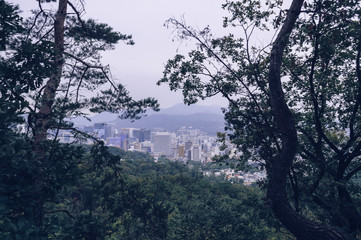 Seoul cityscape through Namsan park trees