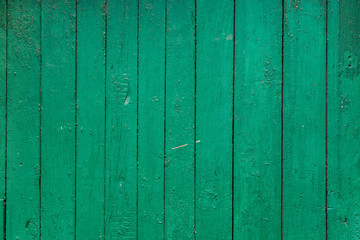 green wooden wall texture