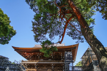Ancient temple with pine tree garden
