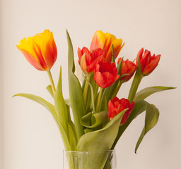 Beautiful tulips on light background, top view 